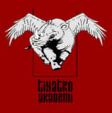 Tiyatro Akademi